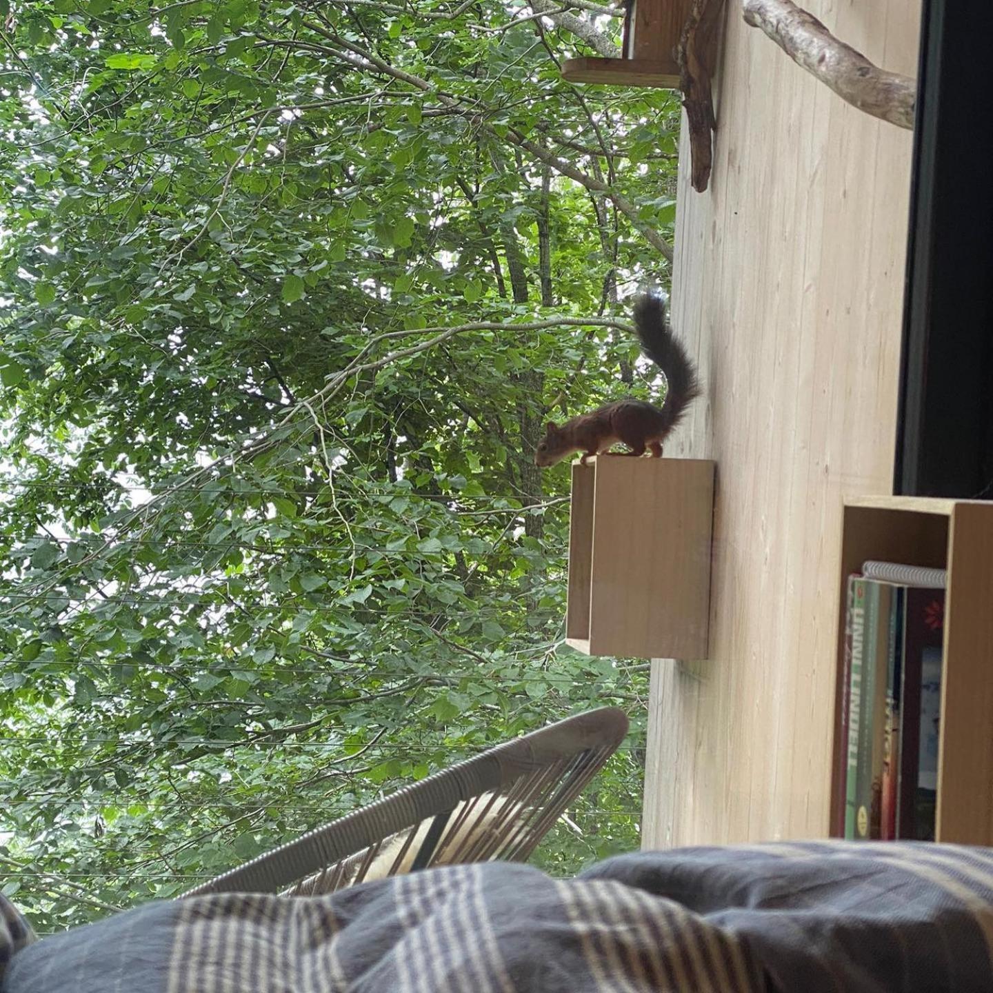 Treehut, Nature, Birds, Silence And Fjord Samlanes Exterior photo